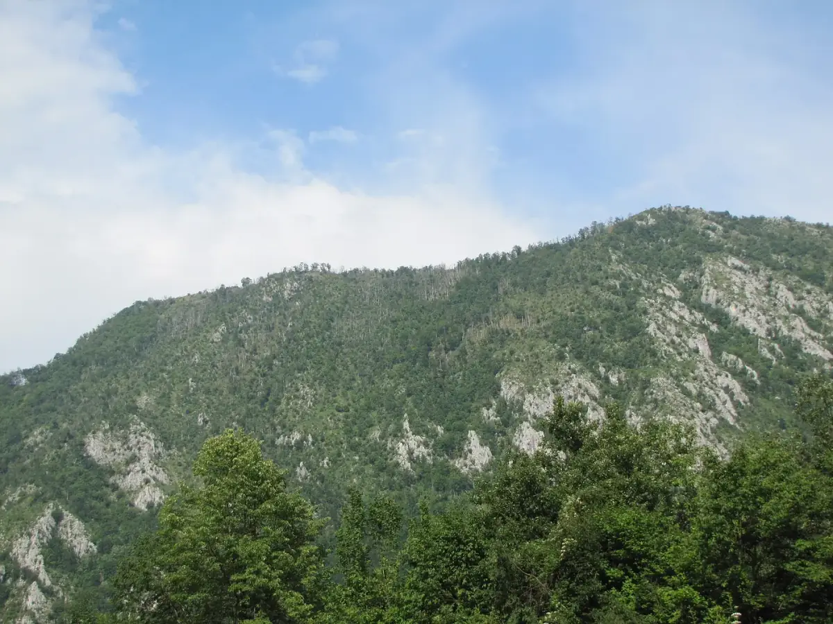 The forested Ibar river gorge