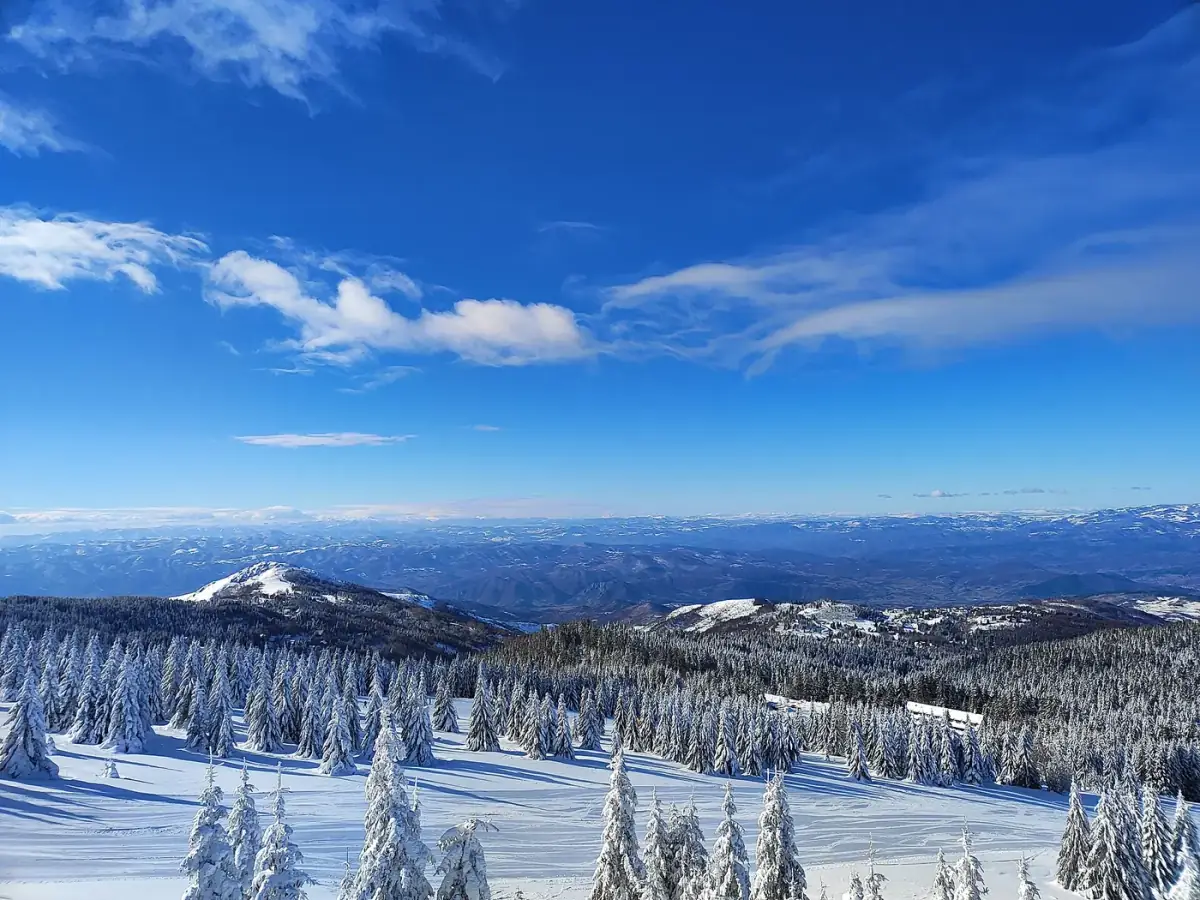 Snow-covered forests on Kopaonik mountain