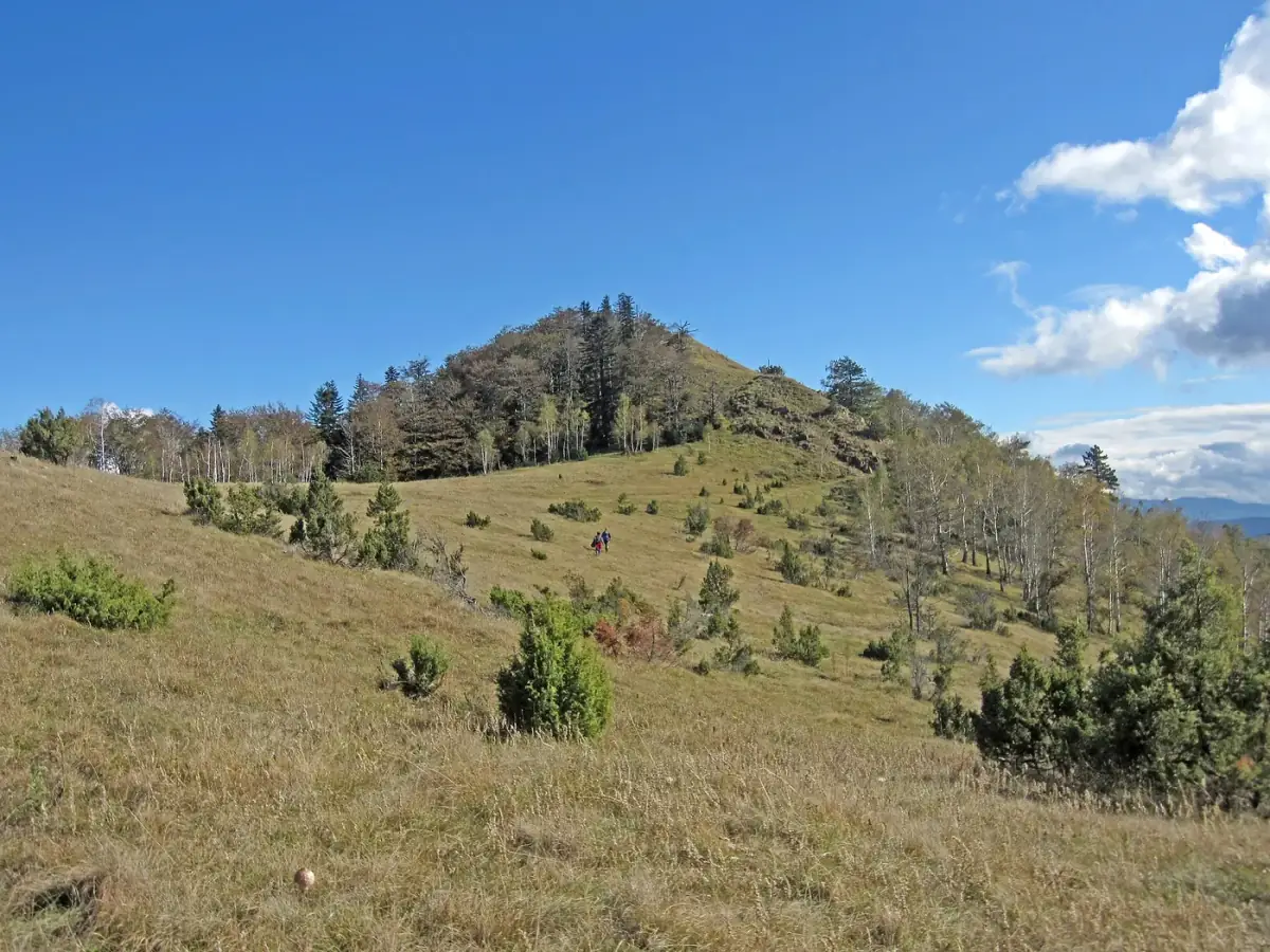 Grassy slopes of Mount Stolovi near Kraljevo